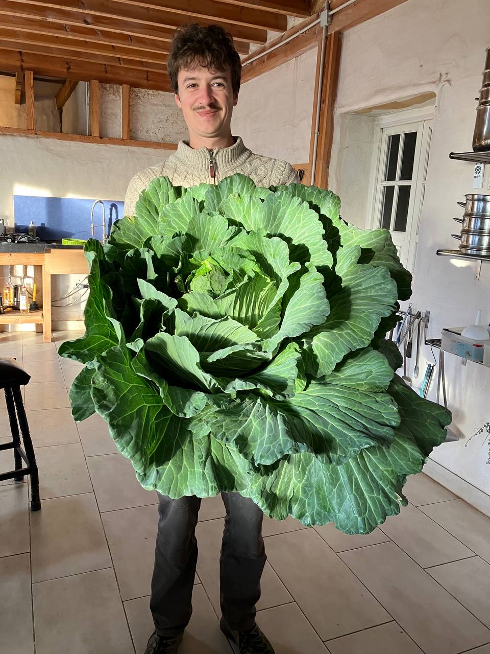 photo_2023 02 10%2012.53.13%20p. m.